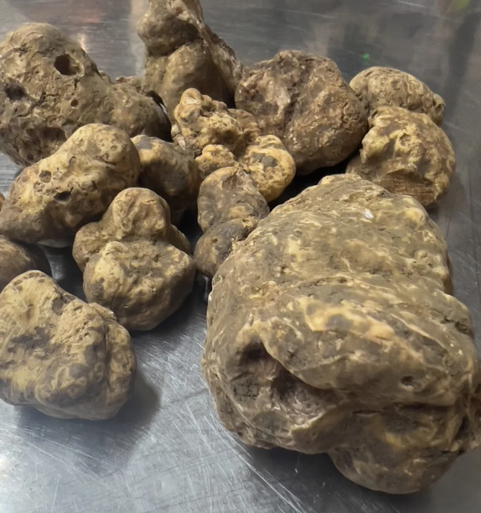 Tartufi