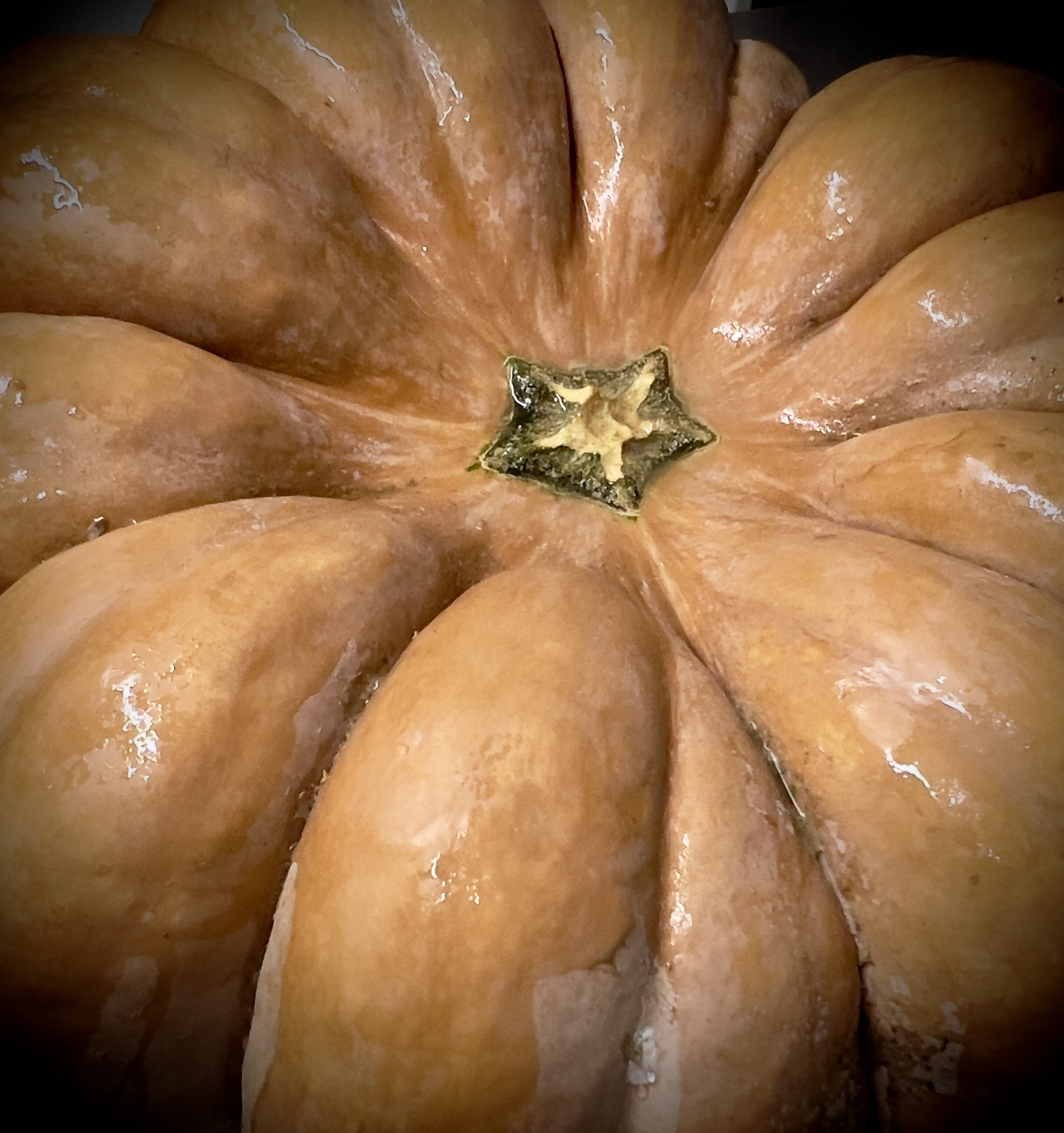 Menù degustazione autunno